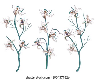 Set of tropical flowers vanilla and lilies cut out on a white background. Branches with hand-drawn flowers. Vector illustration.