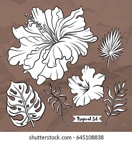 Set of tropical flowers, vector. Black and white illustration. Coloring page with hibiscus and palm leaves