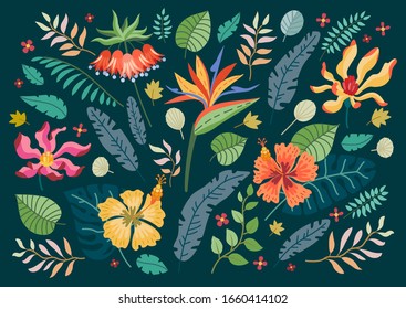 Set of tropical flowers. Vector cartoon rainforest floral elements isolated on white background. Brazil jungle flora in flat style. Orchid, strelitzia, plumeria, philodendron, magnolia. Tropic plants
