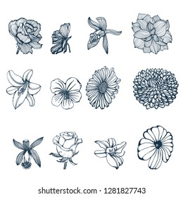 set of tropical flowers vector illustration isolated on white background