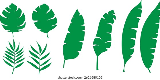 Conjunto de colección de follaje tropical. Elementos planos de la hoja del diseño