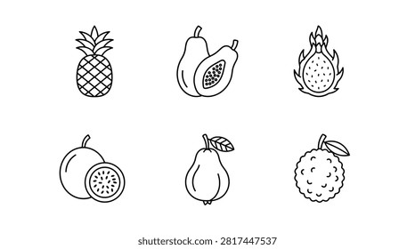 Set of Tropical Fruit Icons Pineapple Papaya Dragon Fruit Passion Fruit Guava Lychee Outline
