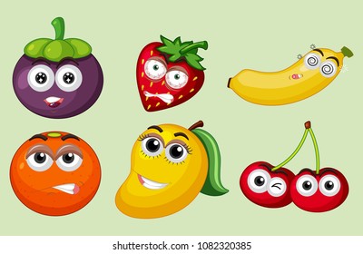 A Set of  Tropical Fruit illustration