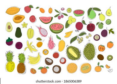 Set of tropical fruits. Bright and colorful pear, apple, lemon, lime, watermelon, orange, durian, pithaya, pineapple, mango, mangosteen, rambutan, bananas, persimmon, avocado, papaya, guava.