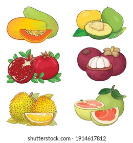 Set of Tropical Fruits Illustration Design