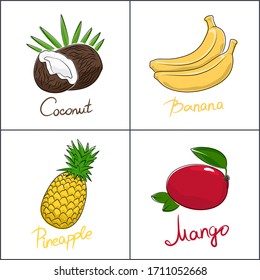 Set of tropical fruits isolated on white background with the name of the fruit , coconut and banana, pineapple and mango, vector illustration