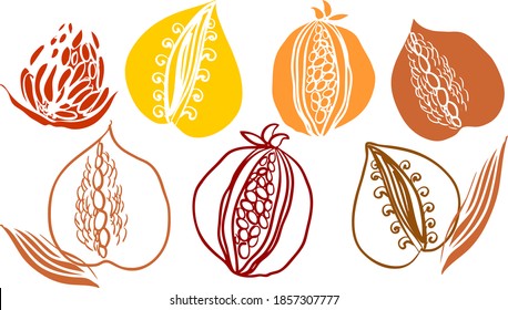 Set of tropical fruits isolated on a white background. Healthy organic food, vegan menu. Vector illustration.