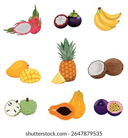  Set of tropical fruits isolated of white background. Vector cartoon illustration such as mango, pineapple, coconut, banana, passionfruit, papaya