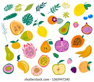 Set of tropical fruits and leaves. Editable vector illustration