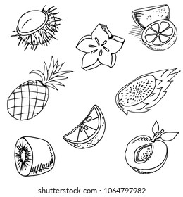 set of tropical fruits, outline black white, hand drawing, hand drawing style, vegetative design elements, vector illustration