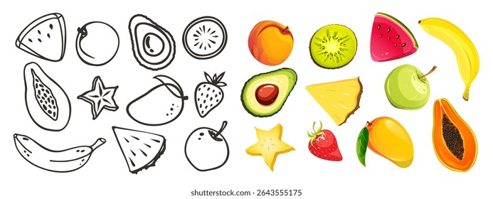 Set of tropical fruits. Watermelon, papaya, pineapple, etc. Fruits and berries outline set. Vector illustration of exotic fruits on white background.