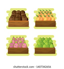 set tropical fruits in wooden box vector illustration
