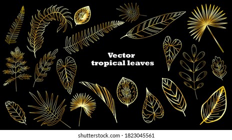 Set of tropical golden leaves. Palm leaves isolated.