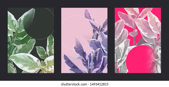 Set of tropical "Golden Pothos" plants fresh flat illustration card template, modern and simple design, with gradient circle shape decoration