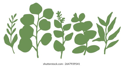Set of tropical green eucalyptus leaves. Vector illustration. Silhouette of tropical leaves	