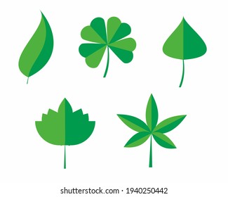 conjunto de ramas de hojas verdes tropicales, ilustración vectorial