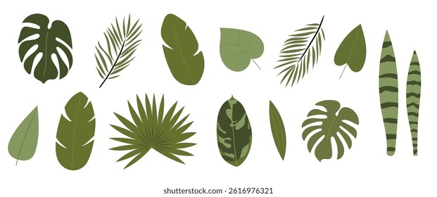 Set of tropical green leaves on white background. Leaves and branches from the jungle in flat style. Monstera, banana, palm, calathea leaves. Summer nature clipart isolated on white background