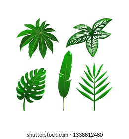 Set Tropical Green Leaves Vector Illustration Stock Vector (Royalty ...