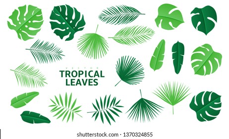 Set of tropical green leaves. Vector illustration with tropical leaves in paper cut style isolated on white background.