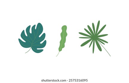 set tropical green Leaves vector