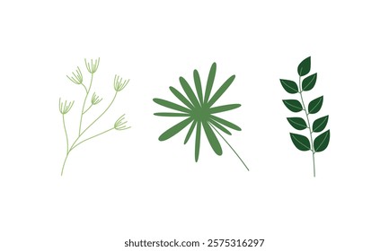 set tropical green Leaves vector