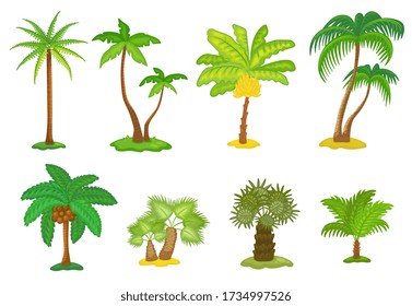 Set of tropical green palm trees cartoon icons, vector illustration isolated on white background. Summer plant element for beach vacation and traveling topics design.