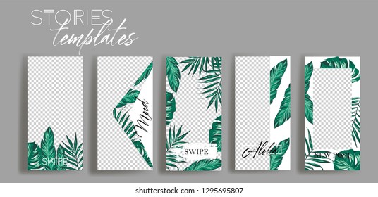 Set Of Tropical Instagram Templates.Vector Layout. Design Backgrounds For Social Media Banner.Set Of  Instagram Stories Frame Templates With Palm Tree Leaves. Mockup For Social Media.