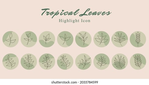 Set of tropical leaf botanical icon social media highlight story template banner with green abstract wave background. Vector illustration
