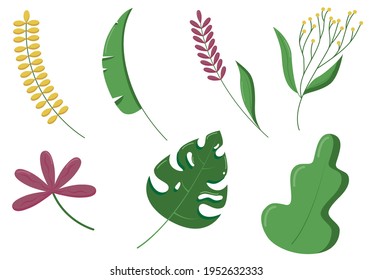 Un conjunto de iconos de hojas tropicales sobre un fondo blanco. Preparación de hojas para el patrón. Ilustración vectorial plana.