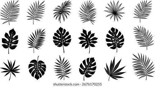 Conjunto de Ilustraciones de hojas tropicales para Elementos de diseño decorativos