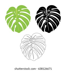 Set of tropical leaf monstera. Linear, silhouette, green leaf. Vector illustration.