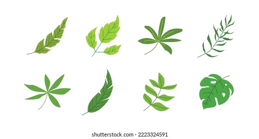 Set tropischer Blätter für Naturdesign-Element
