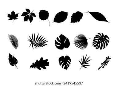 Set of Tropical leaf silhouette icon logo template vector illustration design