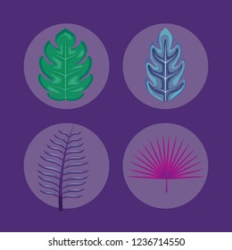 set of tropical leafs icons