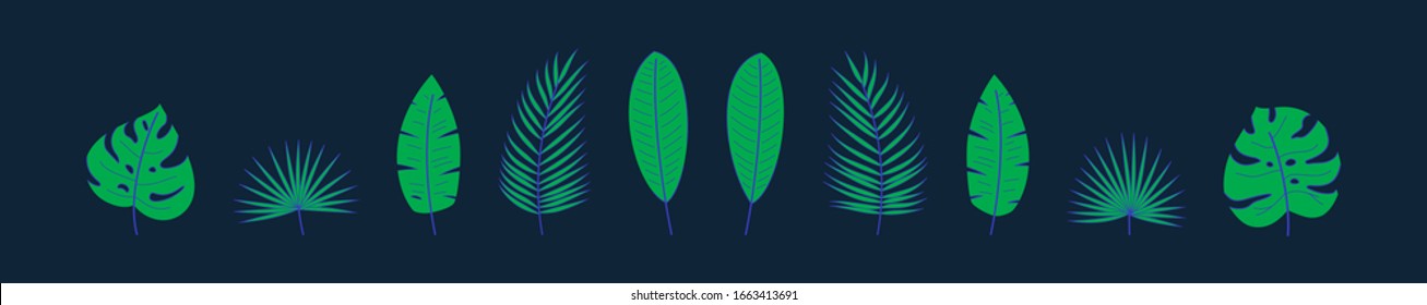 Eine Reihe tropischer Blätter wie Palmen, Monstera, Banane. Tropische Blätter in flachem Stil auf dunkelblauem Hintergrund. Anwendbar für Banner, Kartendesign. Vektorillustration