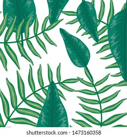 set of tropical leafs plants pattern background