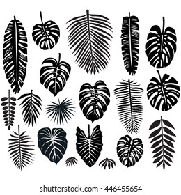 Set of Tropical Leaves