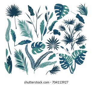 Set of tropical leaves