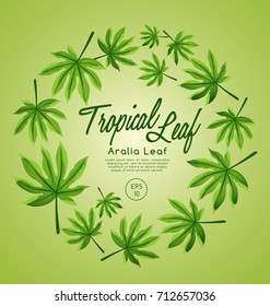Set of Tropical Leaves : Aralia Leaf : Vector Illustration