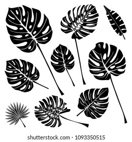 Set of Tropical Leaves. Black Icons isolated on White. Vector Illustration. Print Decorative Design. Natural Forest Pattern Elements for Fashion, Web, Holidays, Travel.