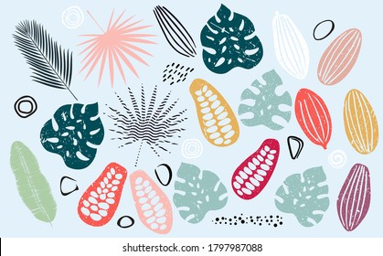 Set of Tropical Leaves, Cacao Beans and Abstract Shapes. Can be yused for Banner, Background, Wallpaper, Card, Flyer, Cover or another  Your design works.