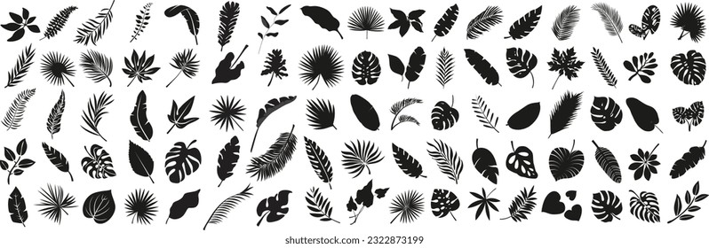 Set of Tropical leaves. Collection black leaves palm, fan palm, banana leaves. Nature leaves collection. Vector illustration