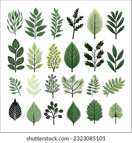 set of Tropical leaves decorative element vector