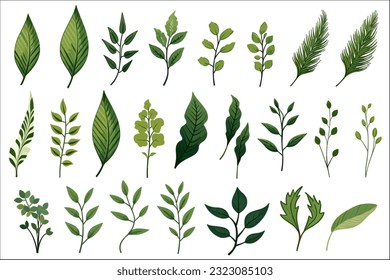 set of Tropical leaves decorative element vector