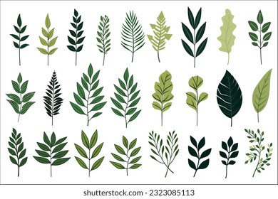 set of Tropical leaves decorative element vector