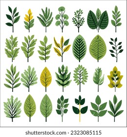 set of Tropical leaves decorative element vector