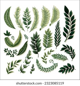 set of Tropical leaves decorative element vector