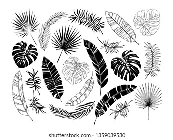 Set of tropical leaves. Drawing sketches of leaves. Vector illustration.