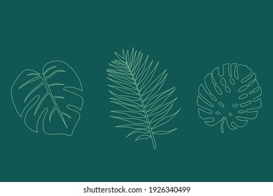 Set of tropical leaves drawn by contour on a green background