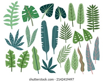 Set of tropical leaves drawn in flat doodle style. Leaves of jungle plants, palm trees, monstera, and others. Bright tropical leaves.